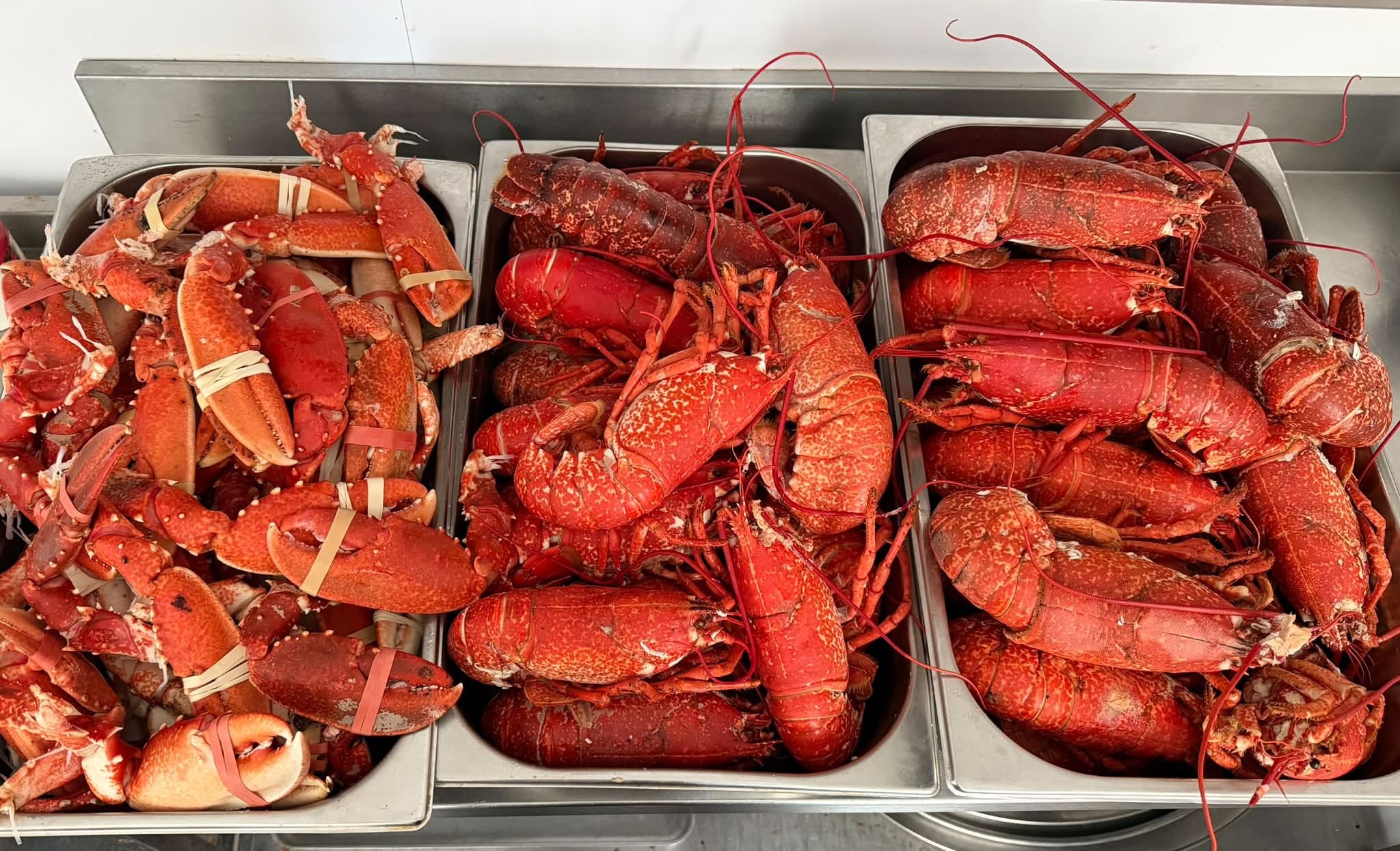Fresh lobster catered by New Forest Fish & Shellfish, New Milton