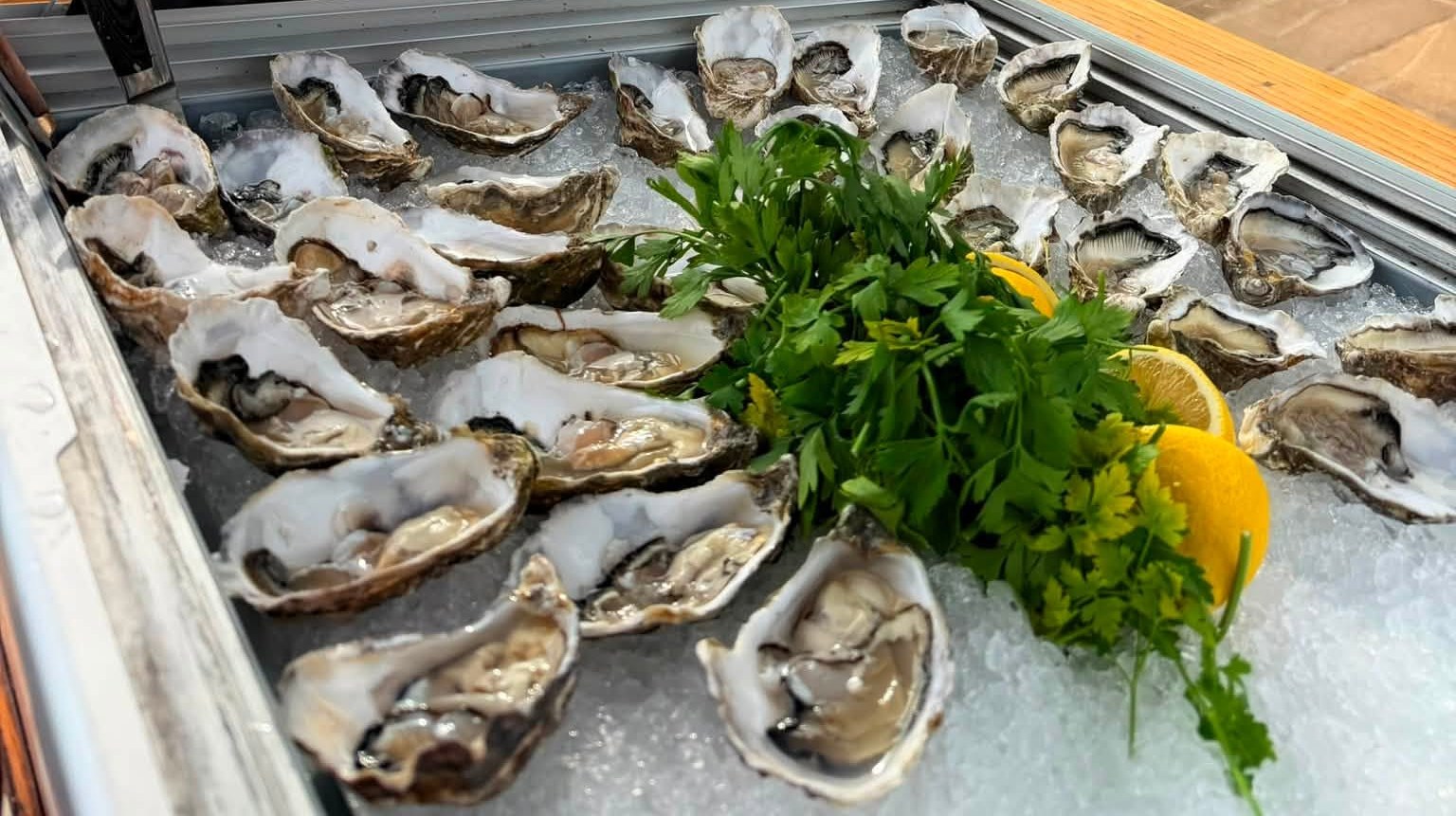 Fresh oysters from New Forest Fish & Shellfish catering, New Milton