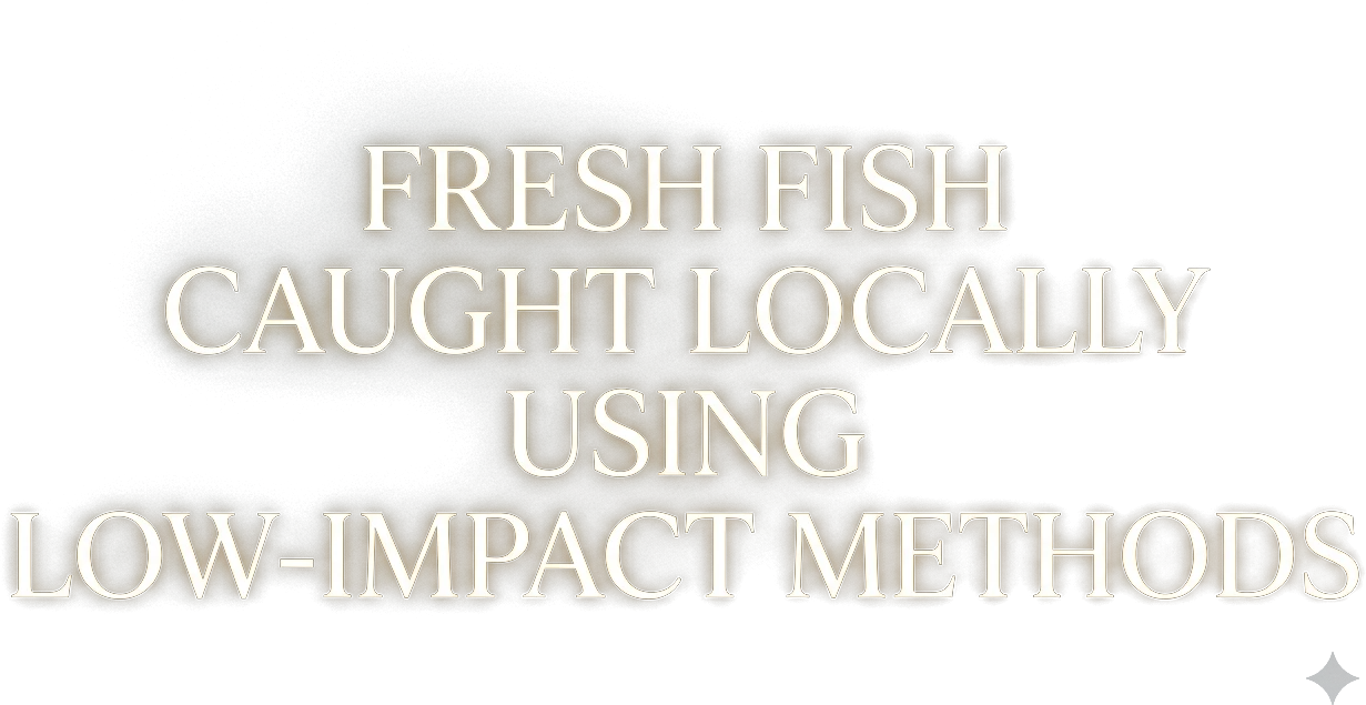 Fresh fish caught locally, using low impact methods, landed daily